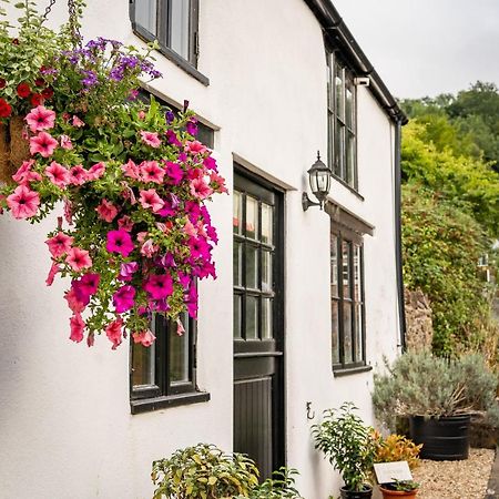 Woodview - Cosy 1840S Cottage In Chew Valley And Mendip Aonb Compton Martin Экстерьер фото