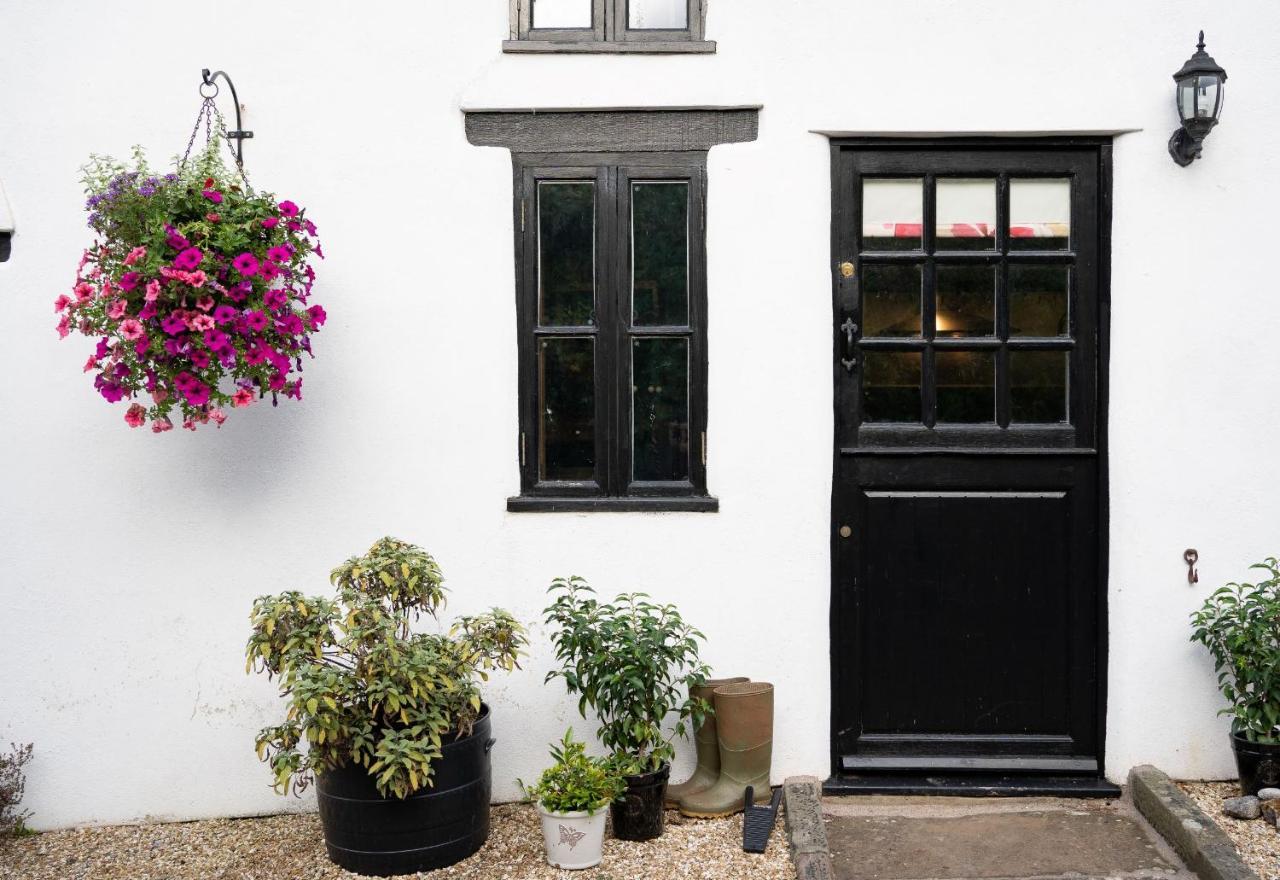 Woodview - Cosy 1840S Cottage In Chew Valley And Mendip Aonb Compton Martin Экстерьер фото