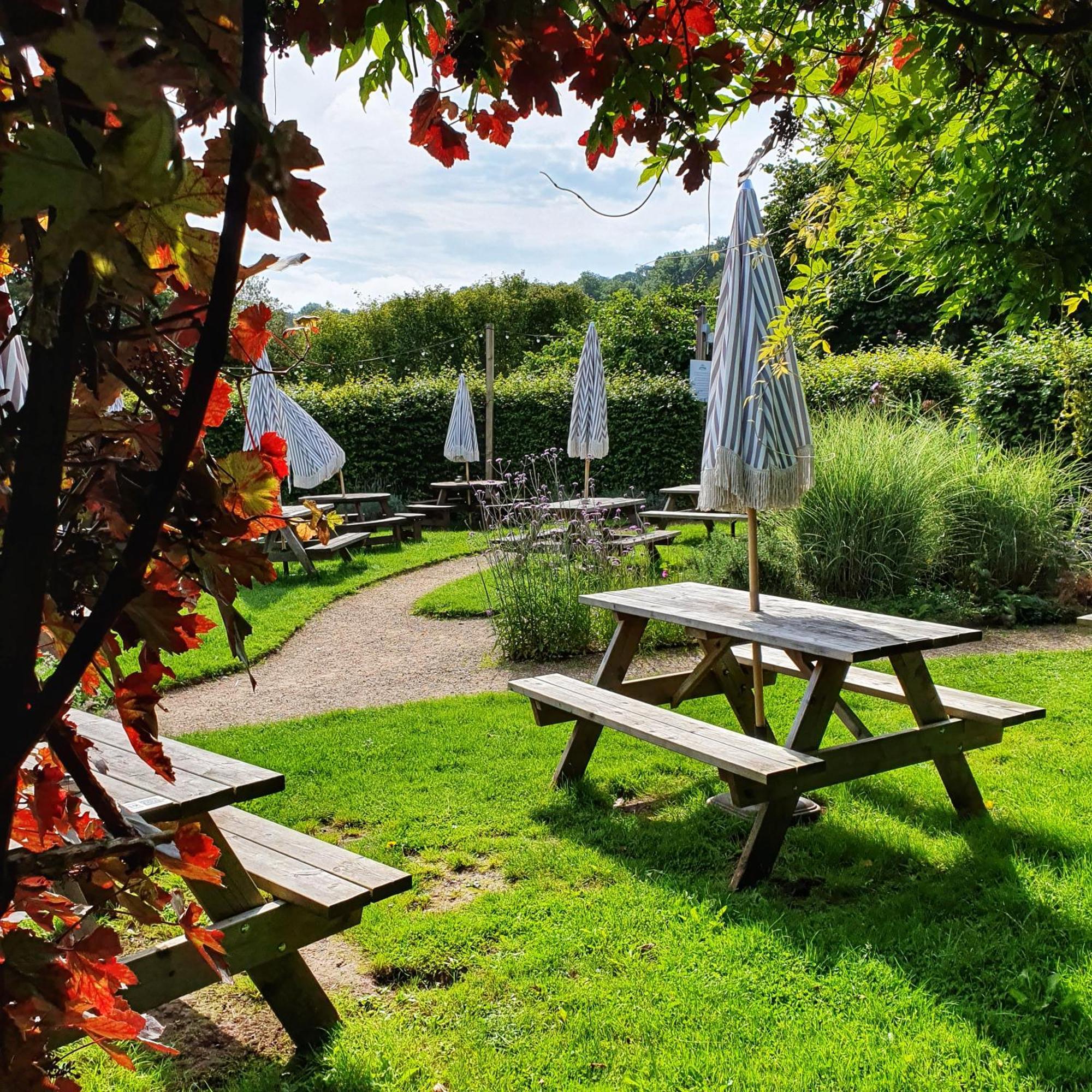 Woodview - Cosy 1840S Cottage In Chew Valley And Mendip Aonb Compton Martin Экстерьер фото