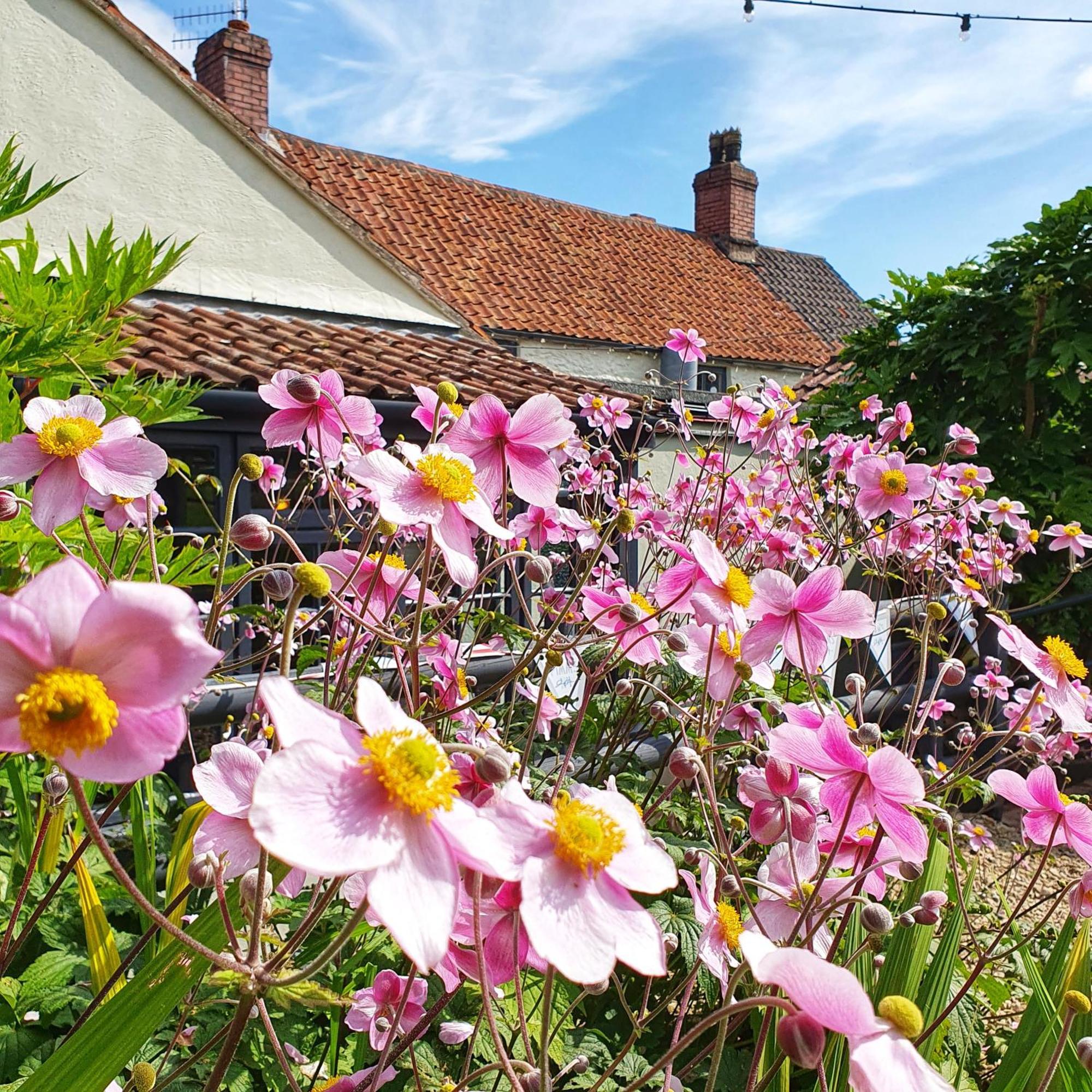 Woodview - Cosy 1840S Cottage In Chew Valley And Mendip Aonb Compton Martin Экстерьер фото
